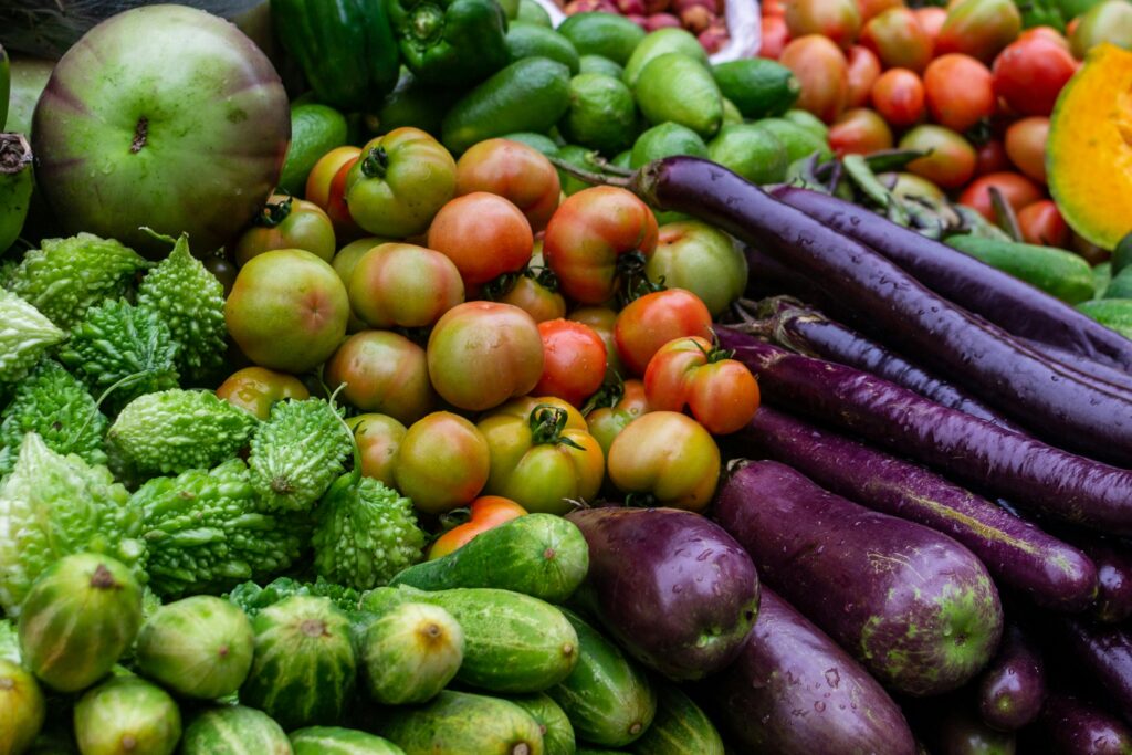 Plan nutricional individualizado PNI 1